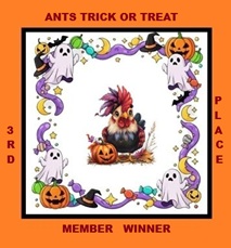 ants m 3rd