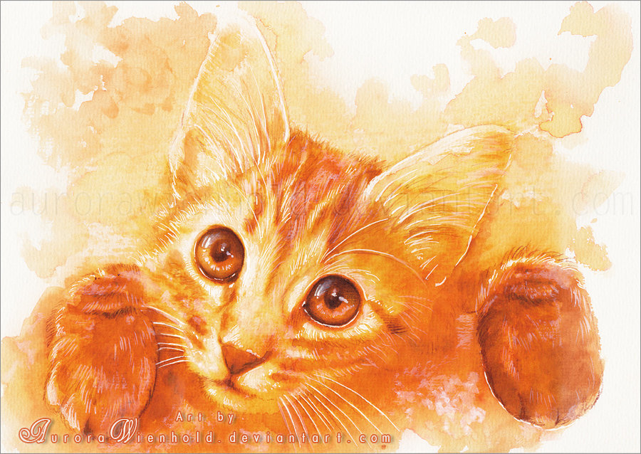 19-can-i-fly-out-by-aurorawienhold-d5x1fx0