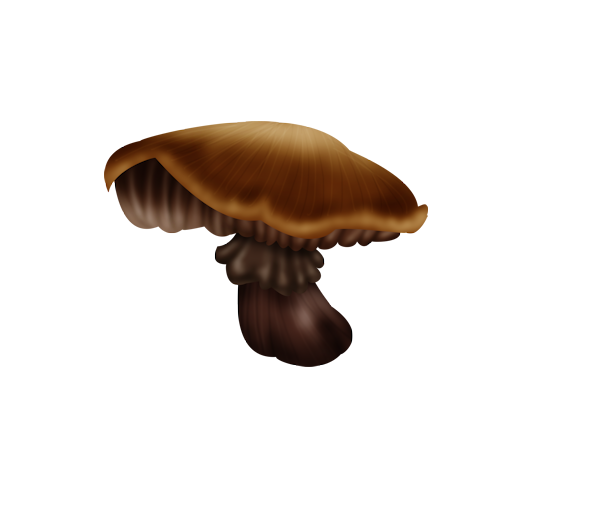 143790044_LMB_Fall_Bounty_Element_27