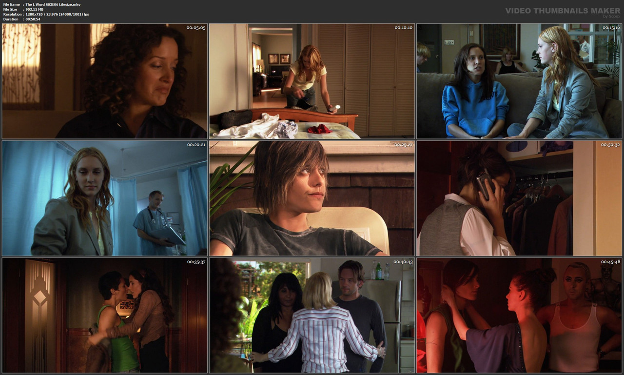 The L Word S03E06 Lifesize.mkv