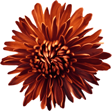 ISmellAutumn-LL-Element81