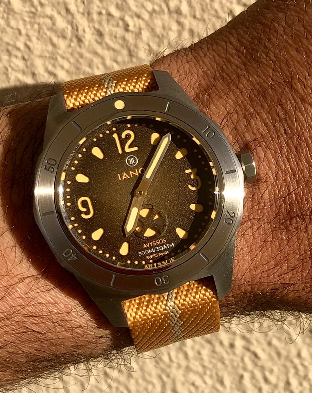 D0A43AD2-C69F-419B-BF86-D6C939113041