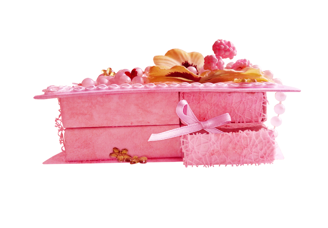 BIBI-PINK ANGEL ELEMS (52)