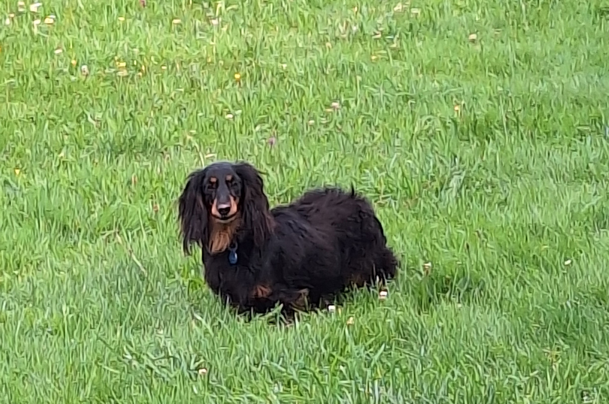 [Image: 20240910-113730.jpg]