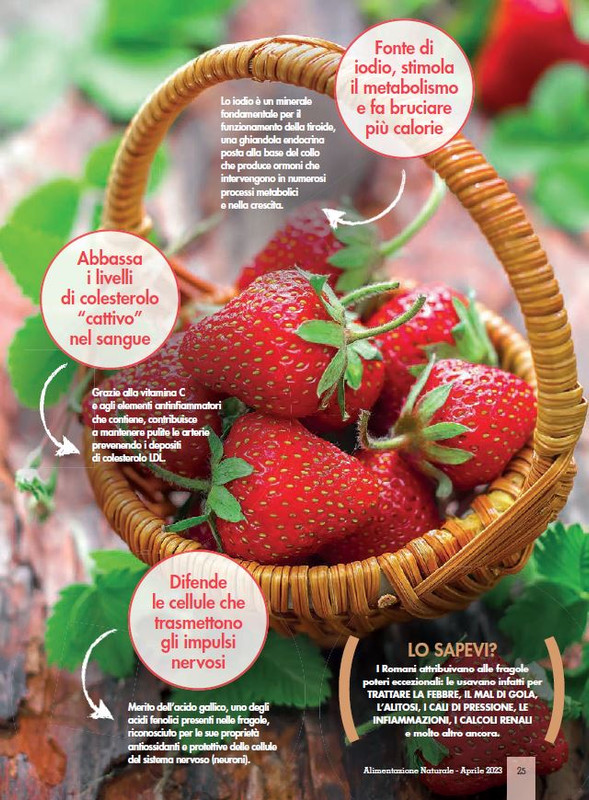 Alim Nat Apr 2023 (6)