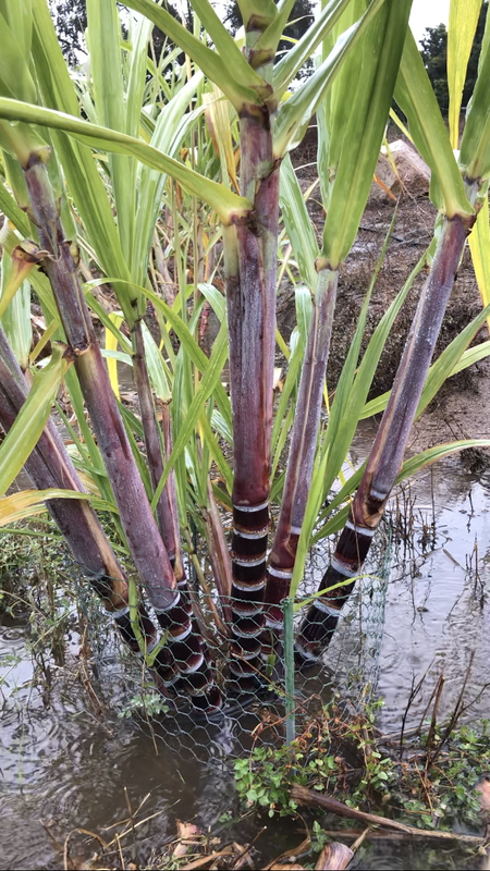 D0E76124-F06F-4D41-939C-DEFEEA0B8EC3