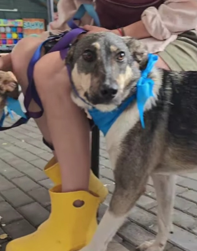 h RYolsyttzo HDr Gu Cr 4qd 56ri5UEPq F6b Et1h LVuq1Mw A4Dk4Iu ws A5cn6649wl G6WJm N0GUte Zy7es Mfua5