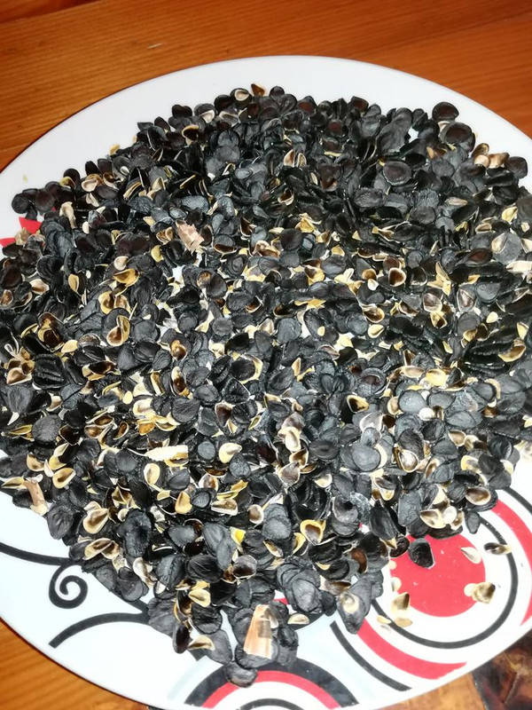 39086613_1824330104330392_3728626560387776512_n