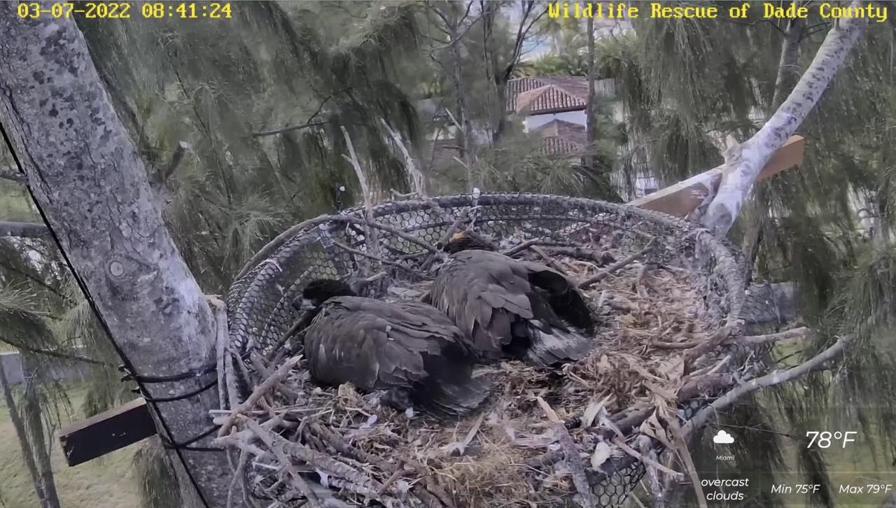 341576BC-0E22-4E7B-9553-9C8394B78F90