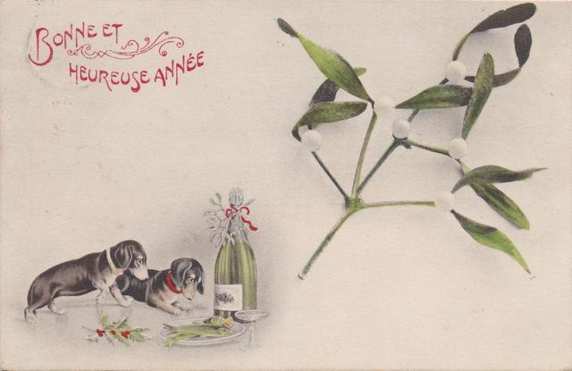 [Image: 215-001.jpg]