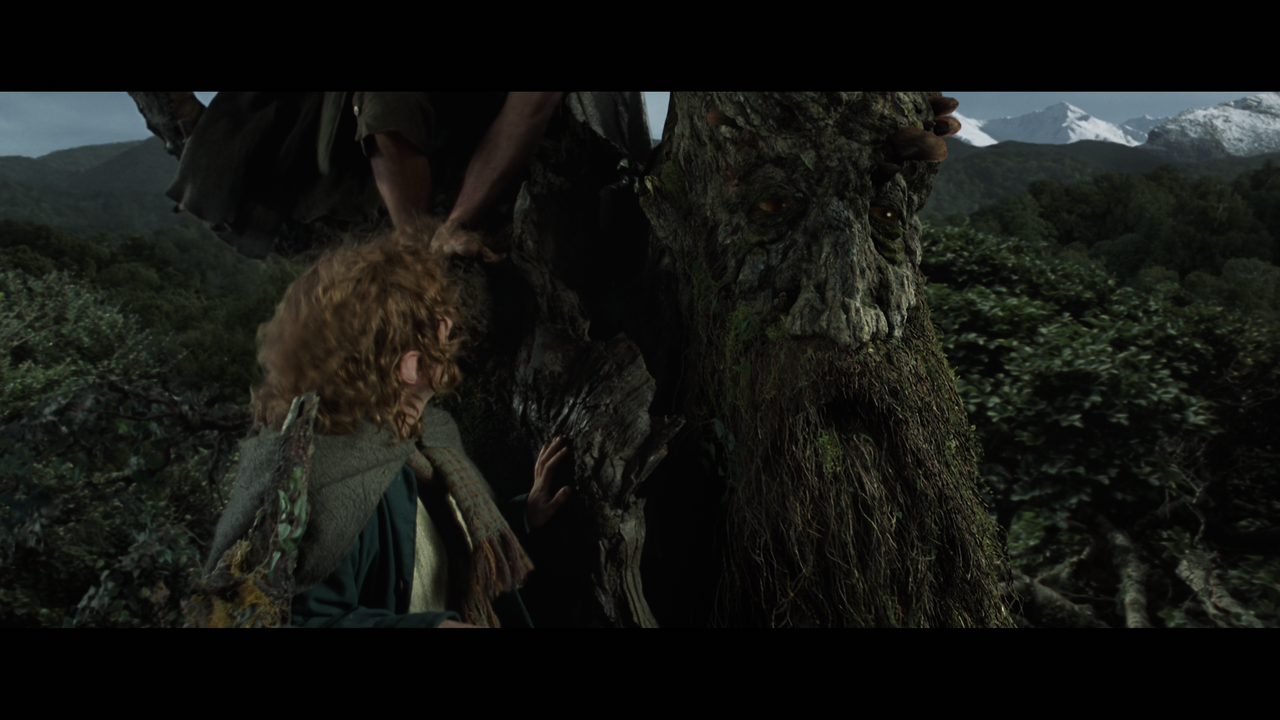 The Lord of the Rings- The Two Towers (EXT.) PT. 2.mkv_snapshot_00.19.46_[2020.12.10_19.00.59]