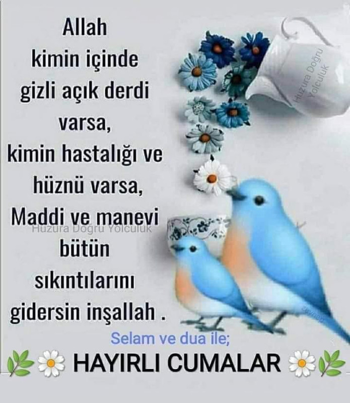 IMG 20251212 005121 779