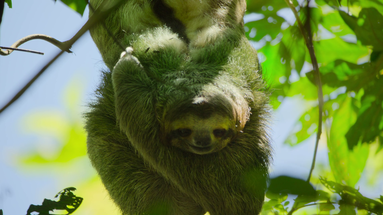 vlcsnap 2026 01 27 10h29m10s555