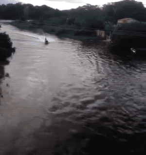 GIFs-17