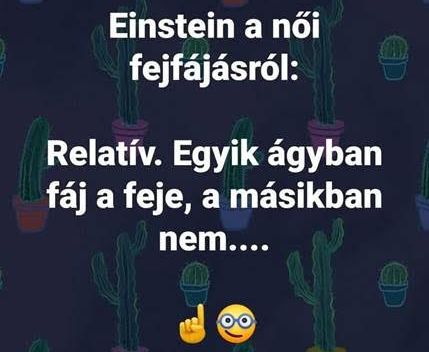 https://i.postimg.cc/DZXyQdhF/einstein-a-noi.jpg