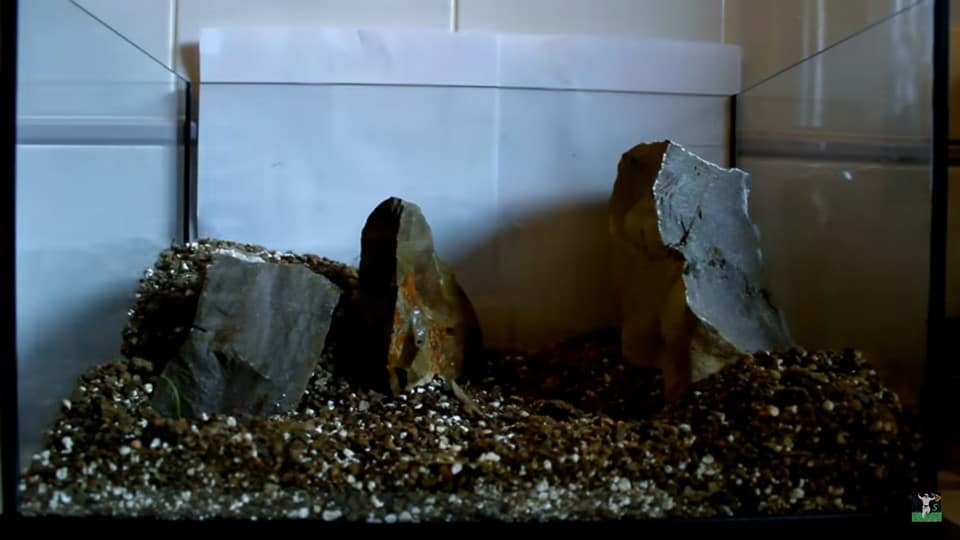 Cattura di schermata (561)