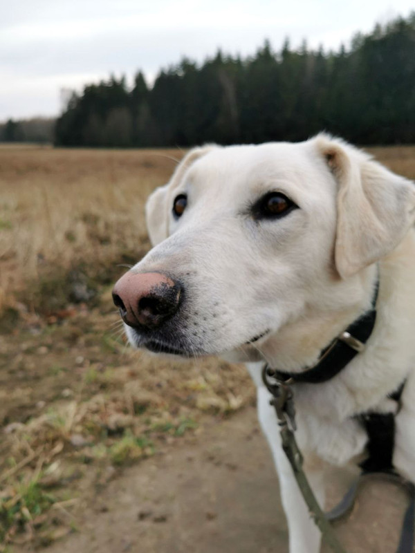 photo_2022-11-09_22-25-13