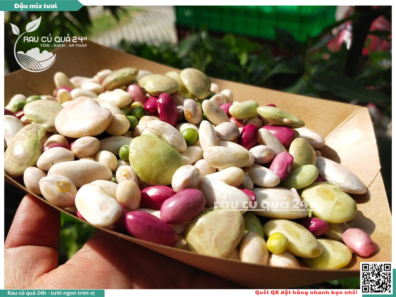 Đậu Mix Tươi 15