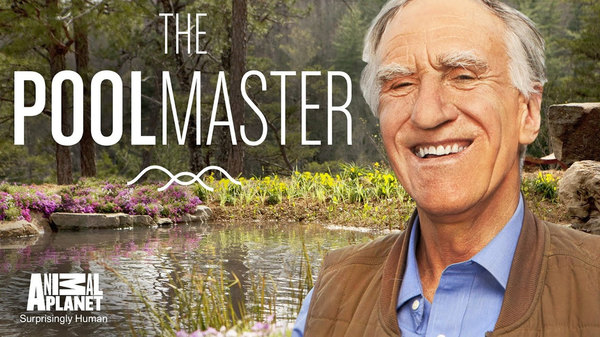 Král jezírek / Pool master, The (2014) / CZ