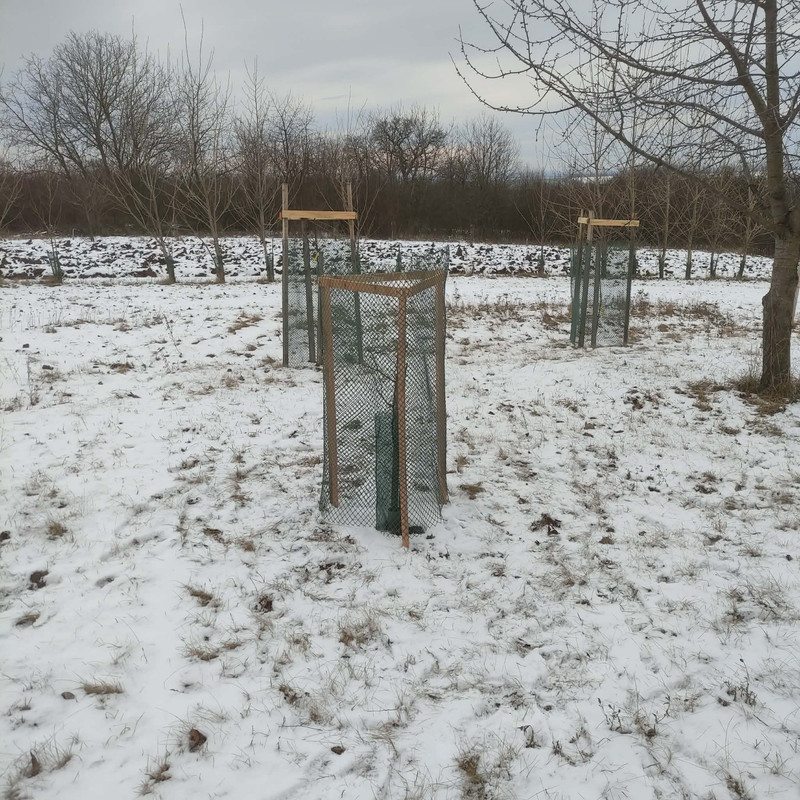 608523305 1549237309625360 7515141328903975820 n