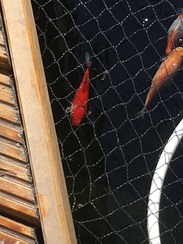 24E5BBD3-A93F-40BA-992E-F64C099F62AD