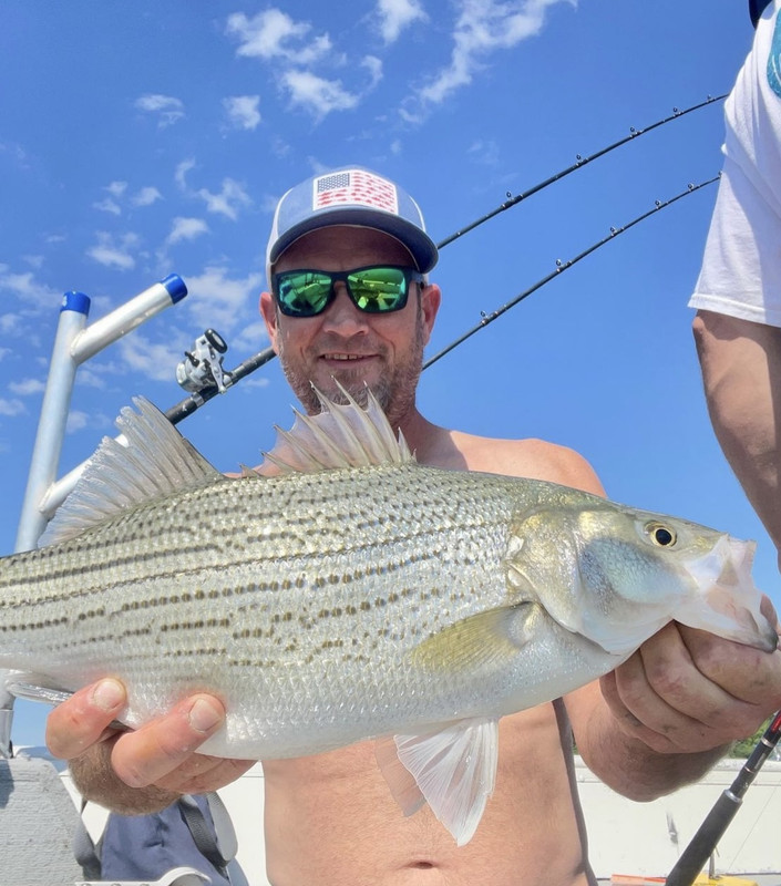 A20307F7-AC40-4311-8D9A-0551201AE2A5