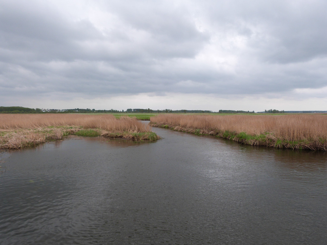 05.33 - P1100772 (Yvonne)