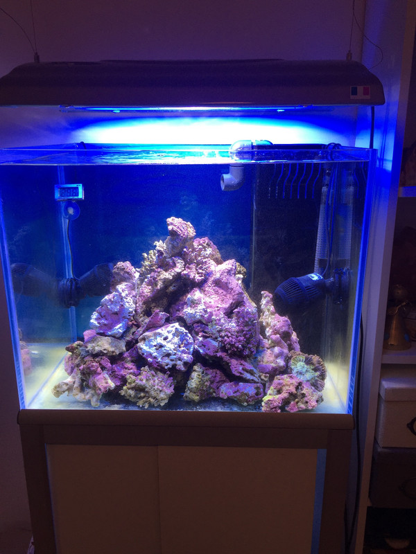 57969290-F270-4B52-8902-81BAF2E85F17