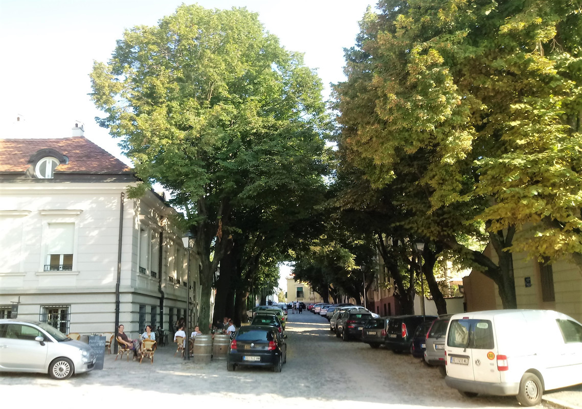 Slika