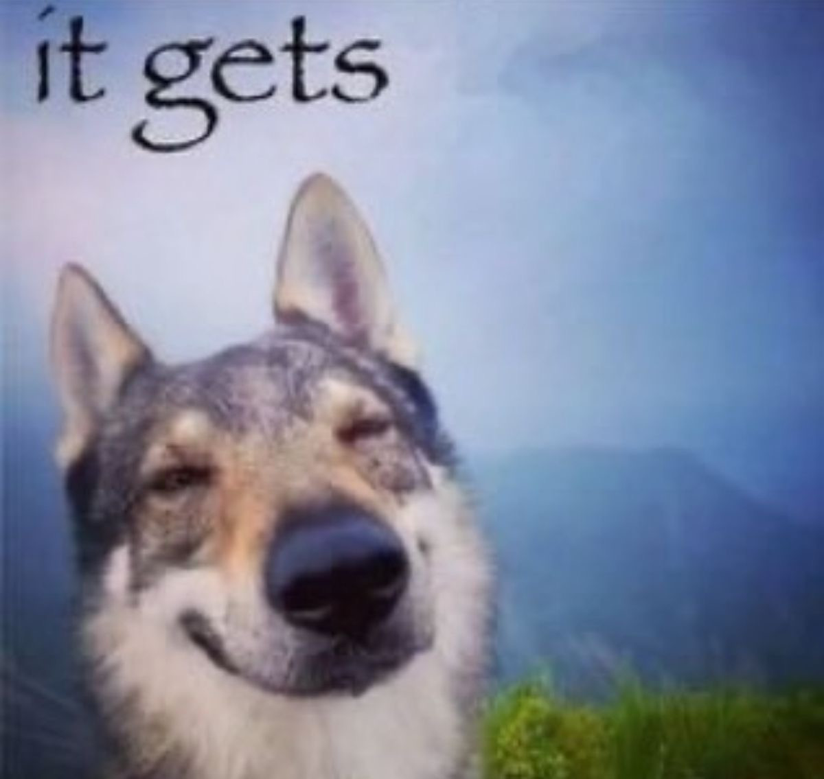 it gets