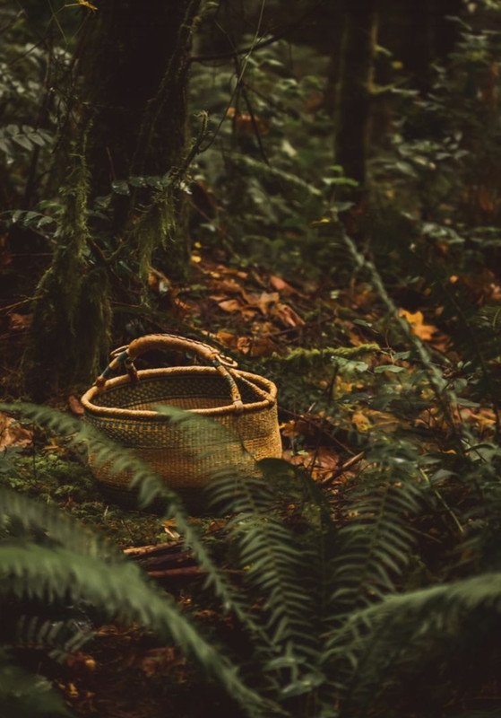 Screenshot_20231219_231713_Pinterest