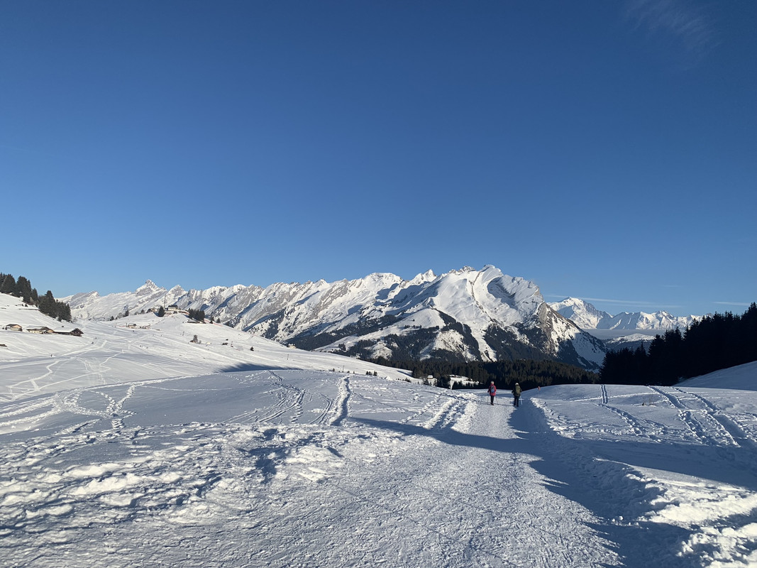 D2F5917E-E6FC-4E20-848A-6BCB3A55BDFC