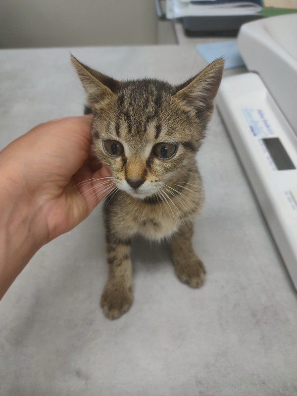 IMG20230824085718 (1)