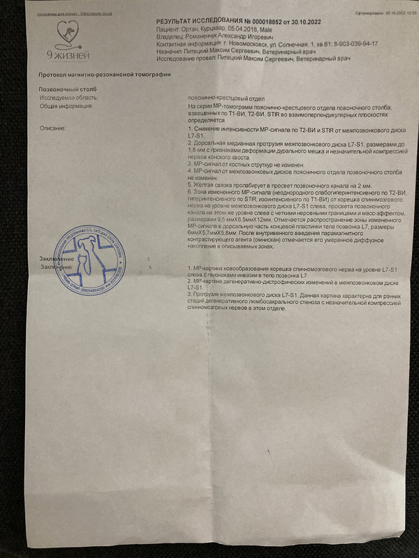 результат исследования