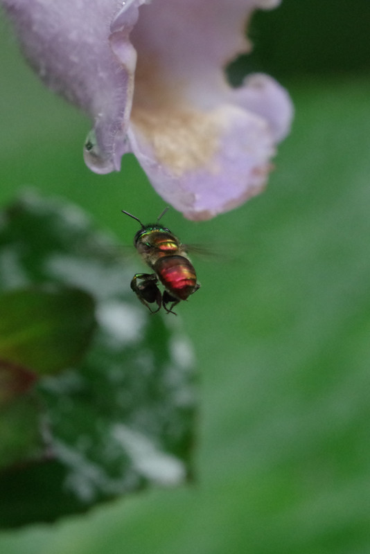 Fieldwork photo 3