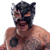 Rey-Fenix.png