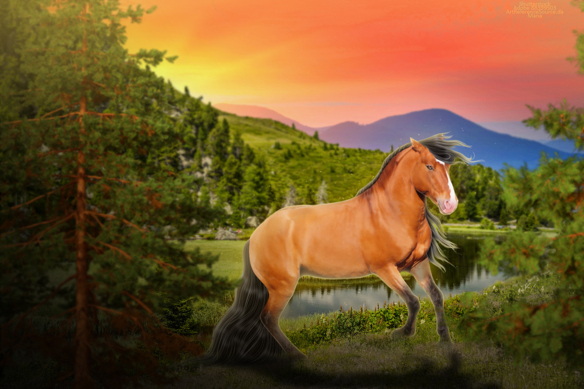 Mountain-Pony-FULL