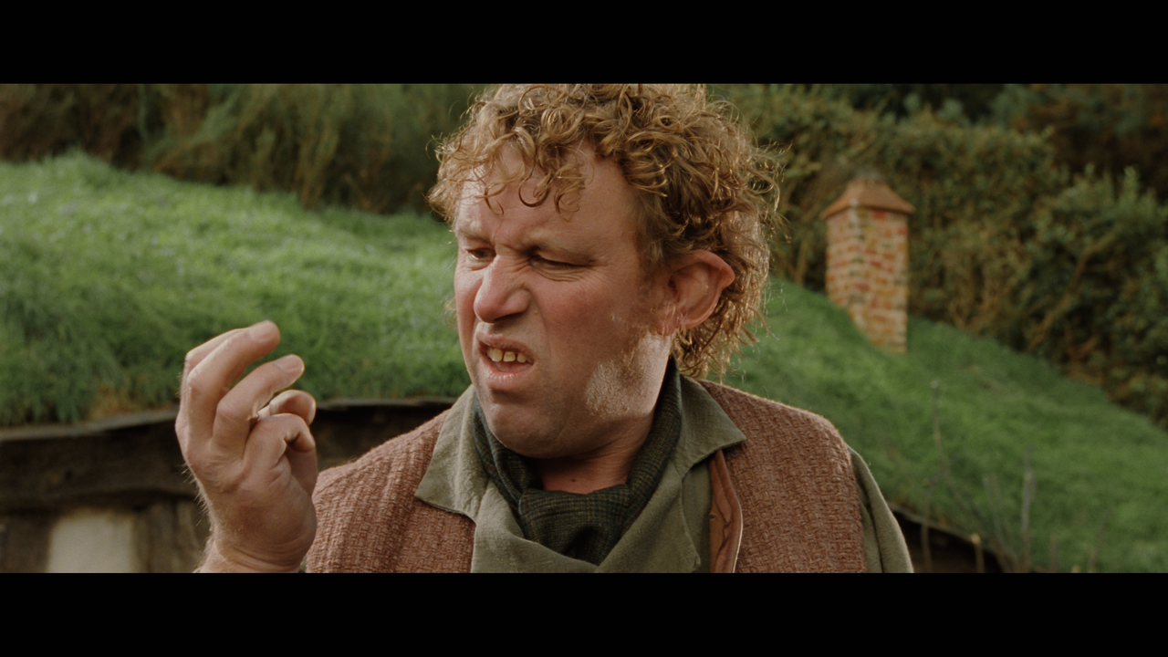 The Lord of the Rings- The Fellowship of the Ring (EXT.) PT. 1.mkv_snapshot_00.09.21_[2020.12.05_21.