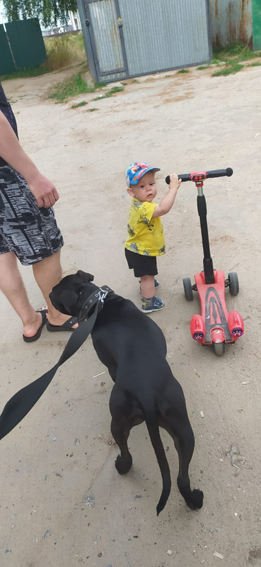 1041A26D-3FE6-463A-8EA9-1E6AC44DABC5