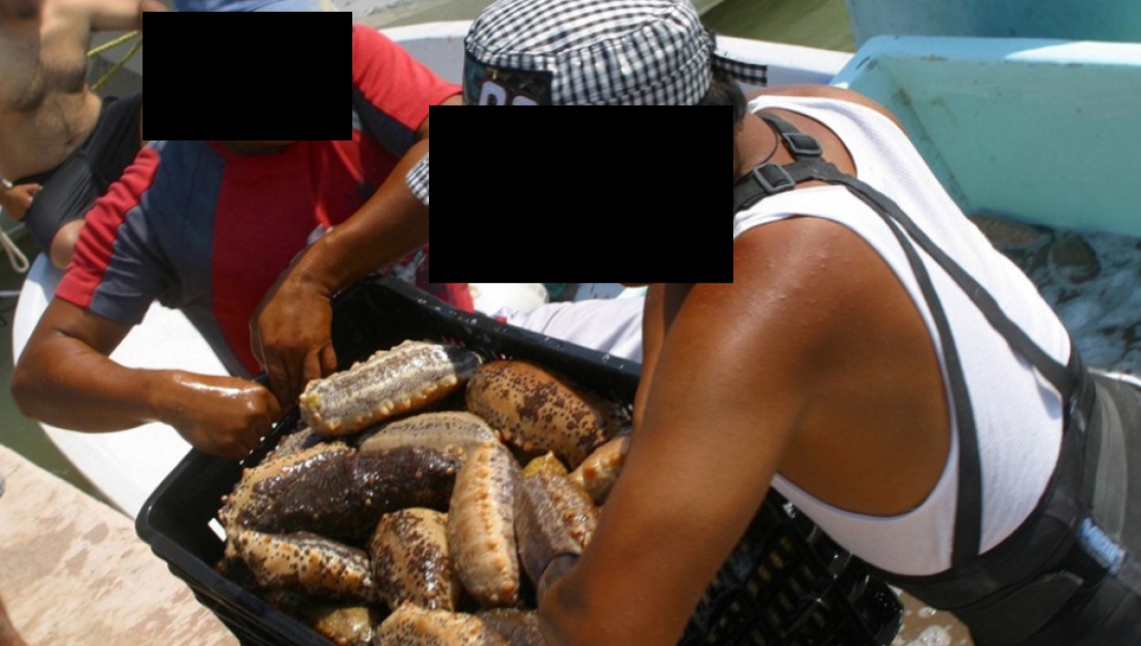 CJNG y el Cártel de Sinaloa encuentran nuevo negocio, tráfico de especies