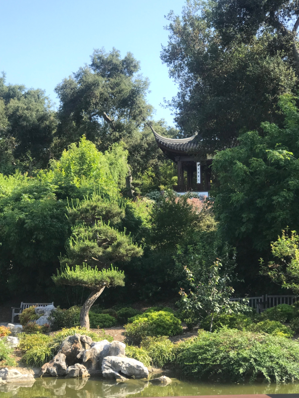 Chinese Garden at the huntington