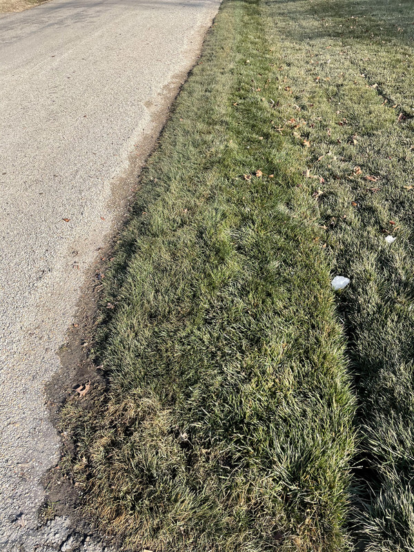 0C31609D-85F6-446A-8544-4667C7F7A0C6