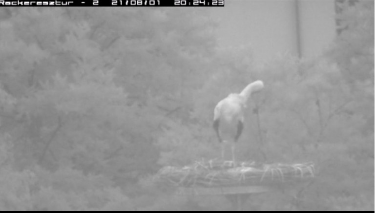 2021-08-01_202517 Misink is hazaért