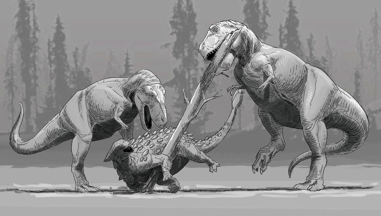 fd738ef54b3448fdbabcc2f3de032e9a