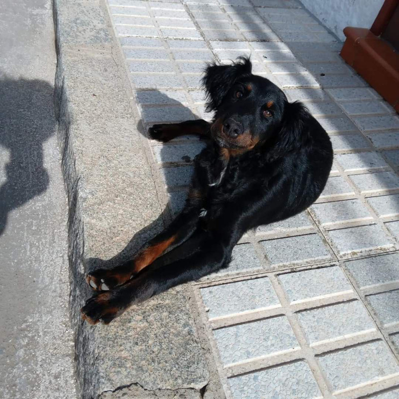 photo_2023-03-24_08-06-55 (8)