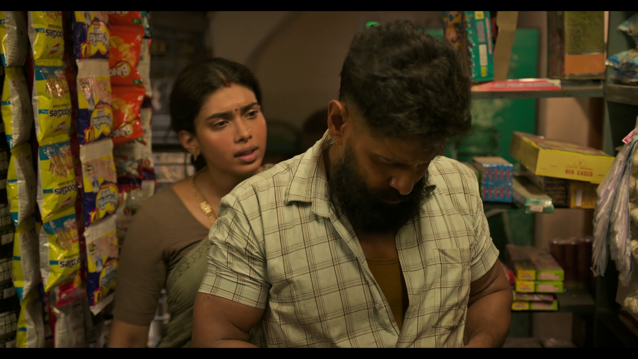 vlcsnap-2025-04-24-21h04m15s342