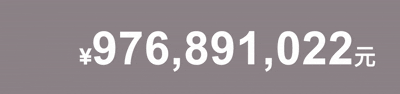 NumFlop Demo