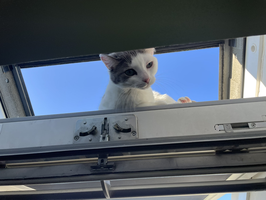 IMG-d08c5263858d6d8184f67014ca7df13e-V