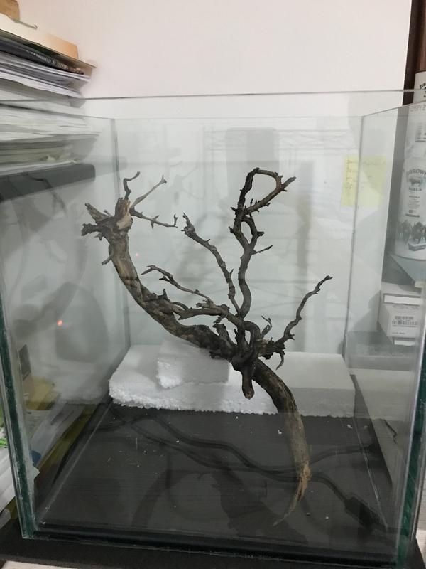 2DC179B5-F58A-44AE-87AA-5B184AB5AC4E