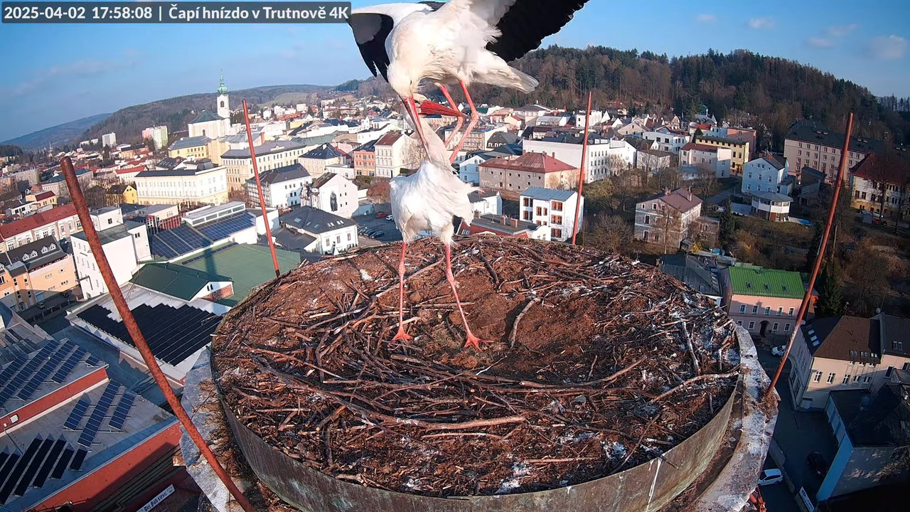 Tiešraidē no stārķa ligzdas uz alus darītavas skursteņa Trutnovā 14-40-56 screenshot